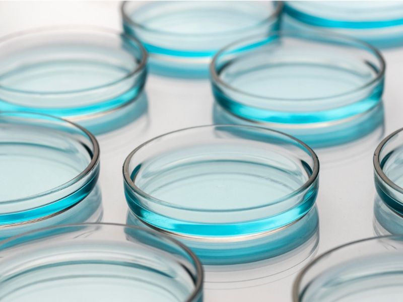 tsiogkaderma dermatologiko